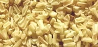 Cassia Splits